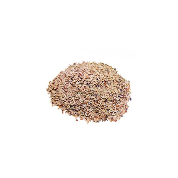 Ispaghol Sabit <br> اسپغول مسلم