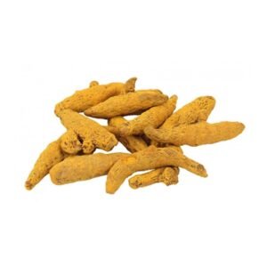 Haldi<br> ہلدی